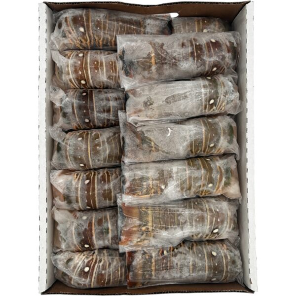 LOBSTER TAIL PREMIUM 6oz