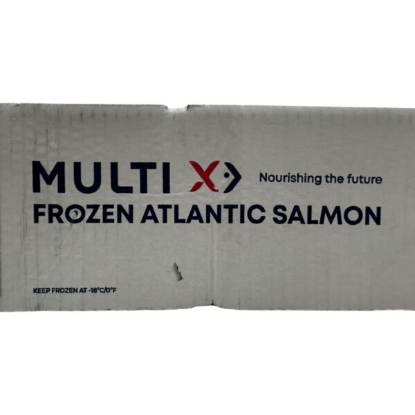 SALMON FILLET CHILE - Image 4