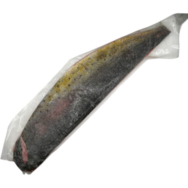 MAHI PINK IVP FILLET - Image 2