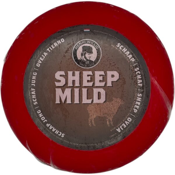 SHEEP CHEESE WHEEL