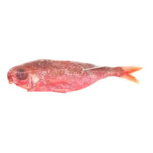 RUBY RED SNAPPER, WILD CAUGHT, IVP, WHOLE GILLED, GUTTED, SCALED 0.75-1lb